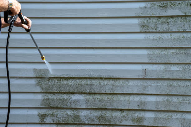Best Construction Debris Removal  in Dimondale, MI