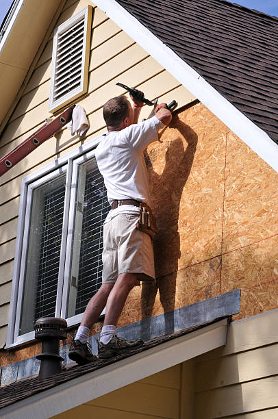 Professional Junk Removal in Dimondale, MI